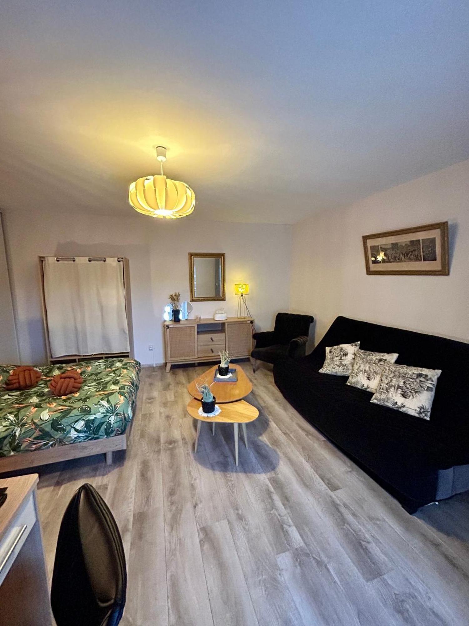 Charmant Studio De 50 M2 Chaumont  Buitenkant foto